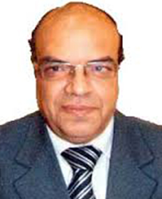 Prof AbdElrehim